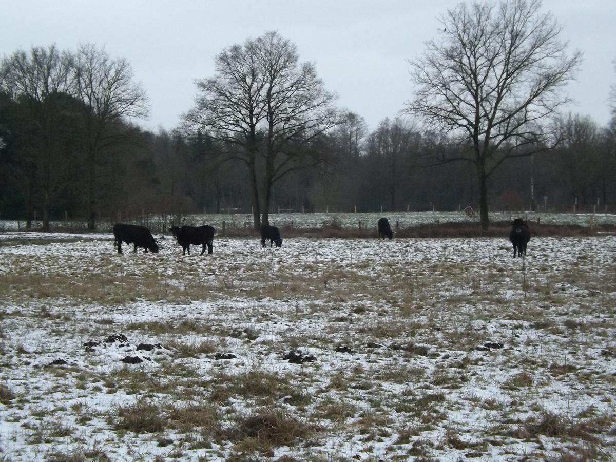 Vosseven 15 Haasje Villa Stramproy Luaran gambar